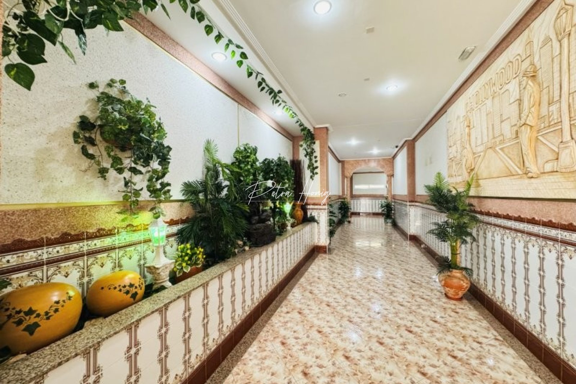 Gebrauchtobjekte - Apartment - La Mata