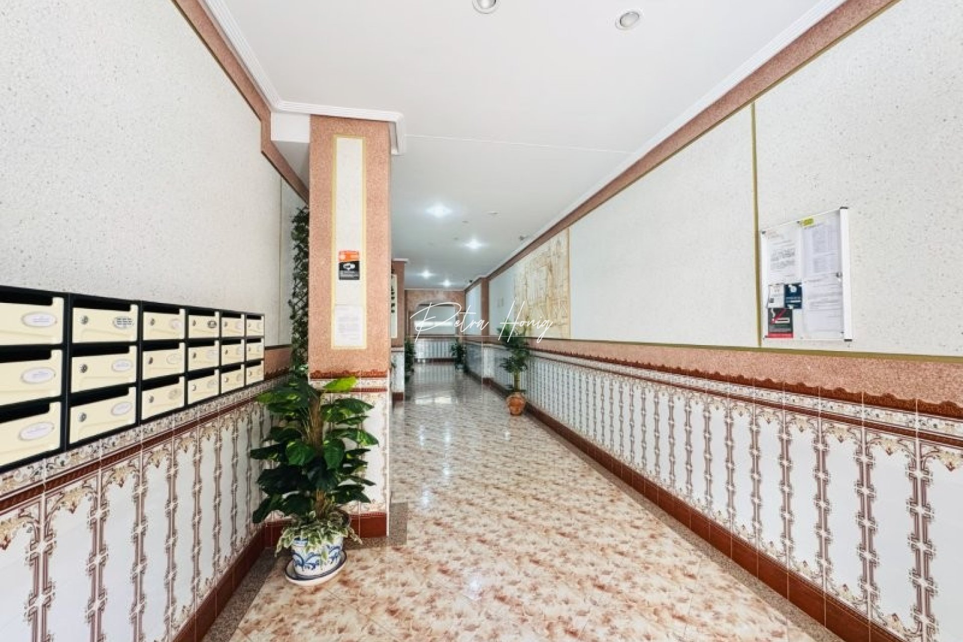Gebrauchtobjekte - Apartment - La Mata