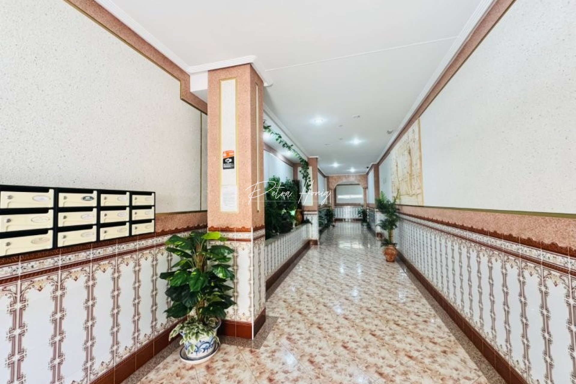Gebrauchtobjekte - Apartment - La Mata