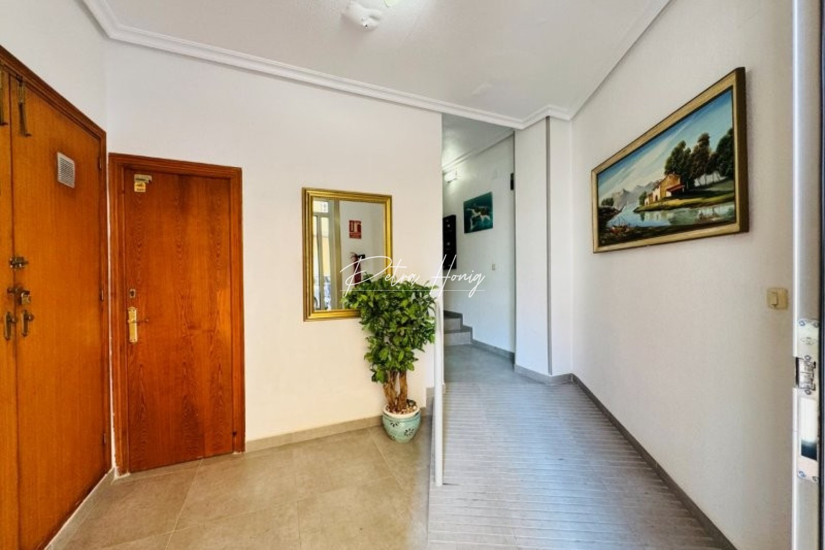 Gebrauchtobjekte - Apartment - La Mata