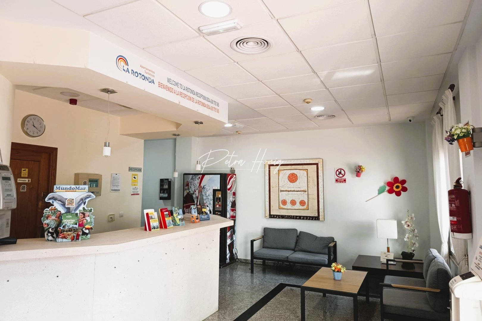 Gebrauchtobjekte - Apartment - Orihuela Costa - Cabo Roig