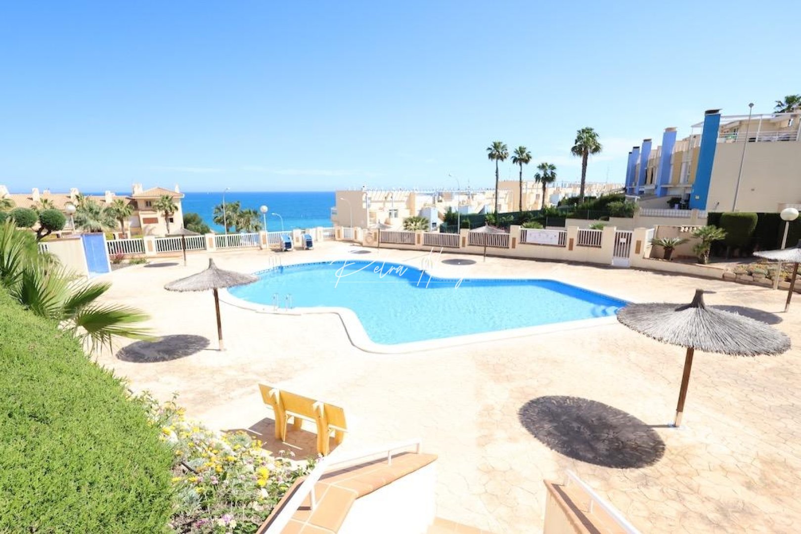 Gebrauchtobjekte - Apartment - Orihuela Costa - Campoamor