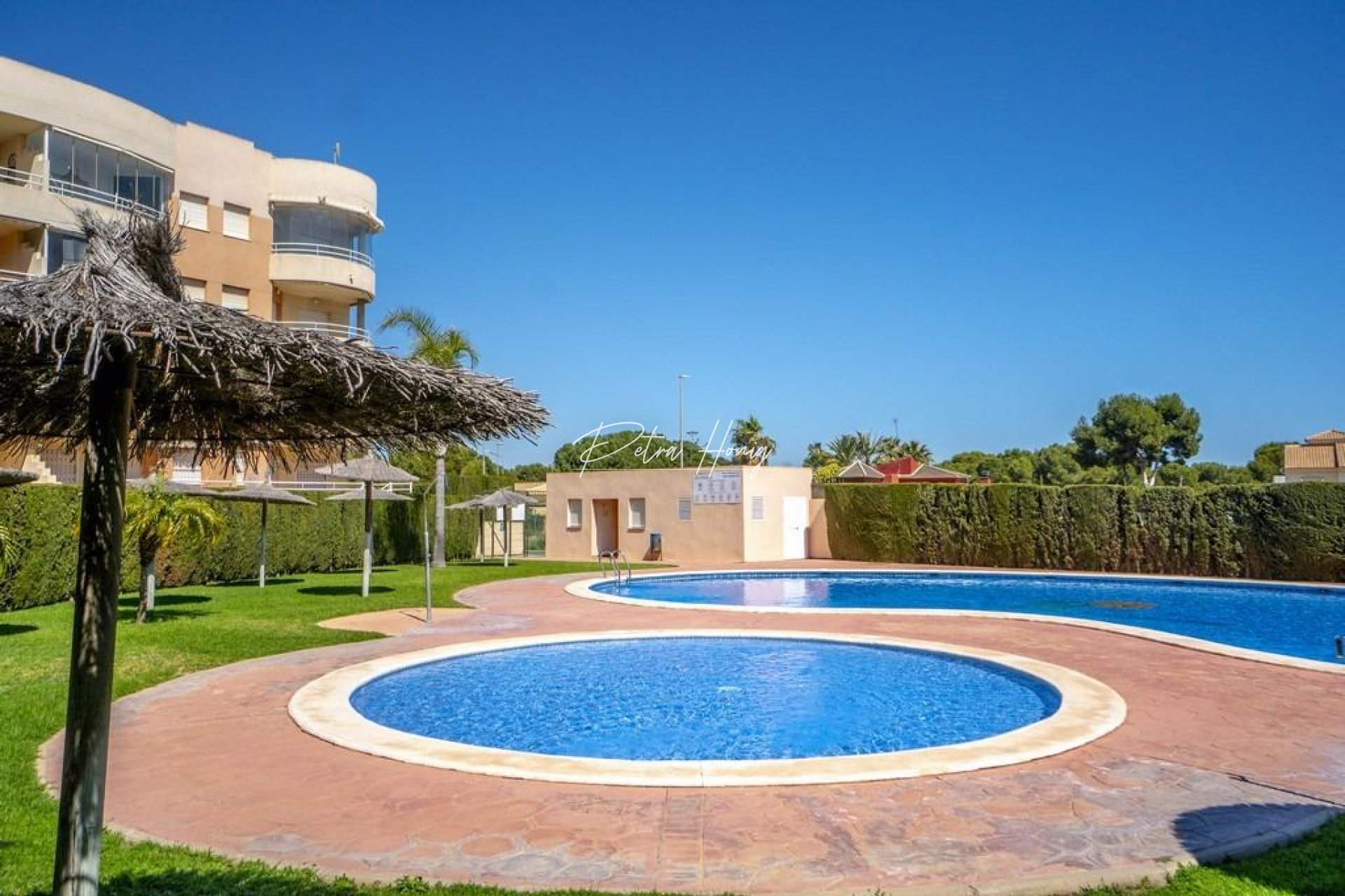 Gebrauchtobjekte - Apartment - Orihuela Costa - Campoamor