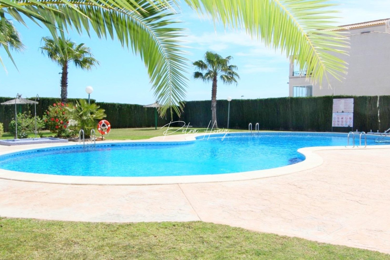 Gebrauchtobjekte - Apartment - Orihuela Costa - La Ciñuelica - Villa Rosa