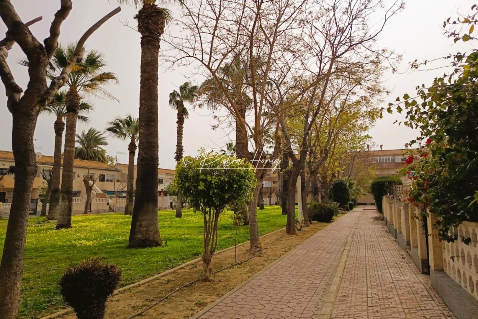 Gebrauchtobjekte - Apartment - Orihuela Costa - La Regia