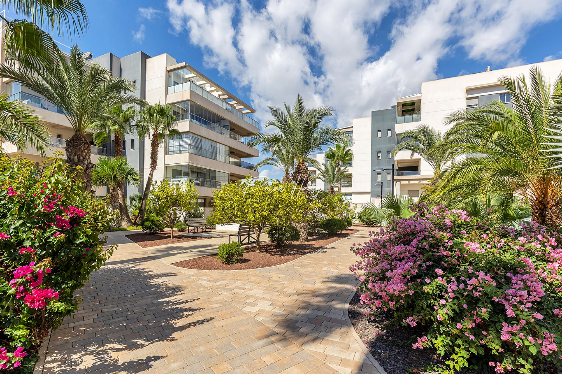 Gebrauchtobjekte - Apartment - Orihuela Costa - Villamartin