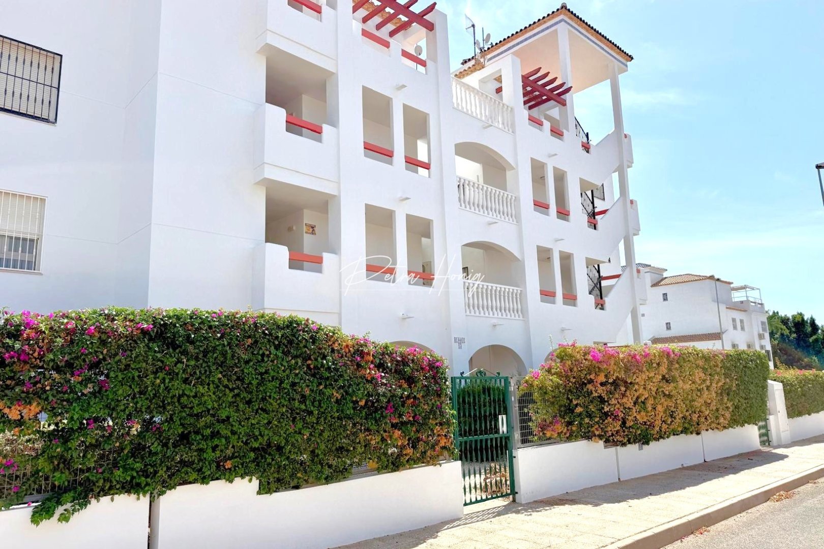 Gebrauchtobjekte - Apartment - Orihuela Costa - Villamartin