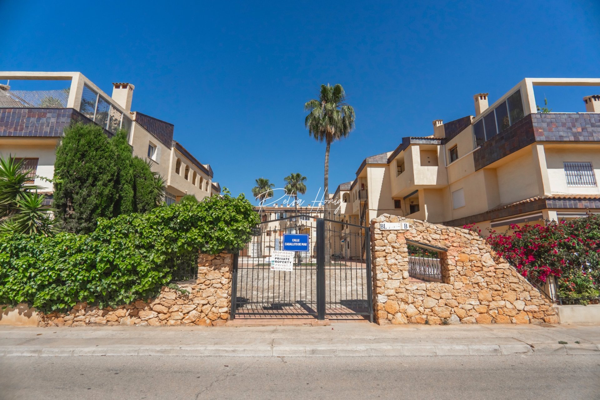 Gebrauchtobjekte - Apartment - Punta Prima