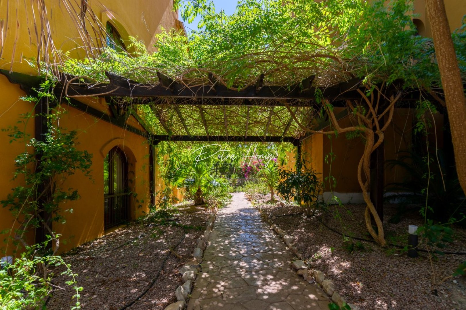 Gebrauchtobjekte - Apartment - Punta Prima