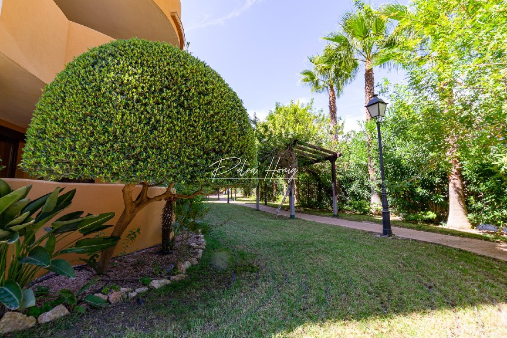 Gebrauchtobjekte - Apartment - Punta Prima