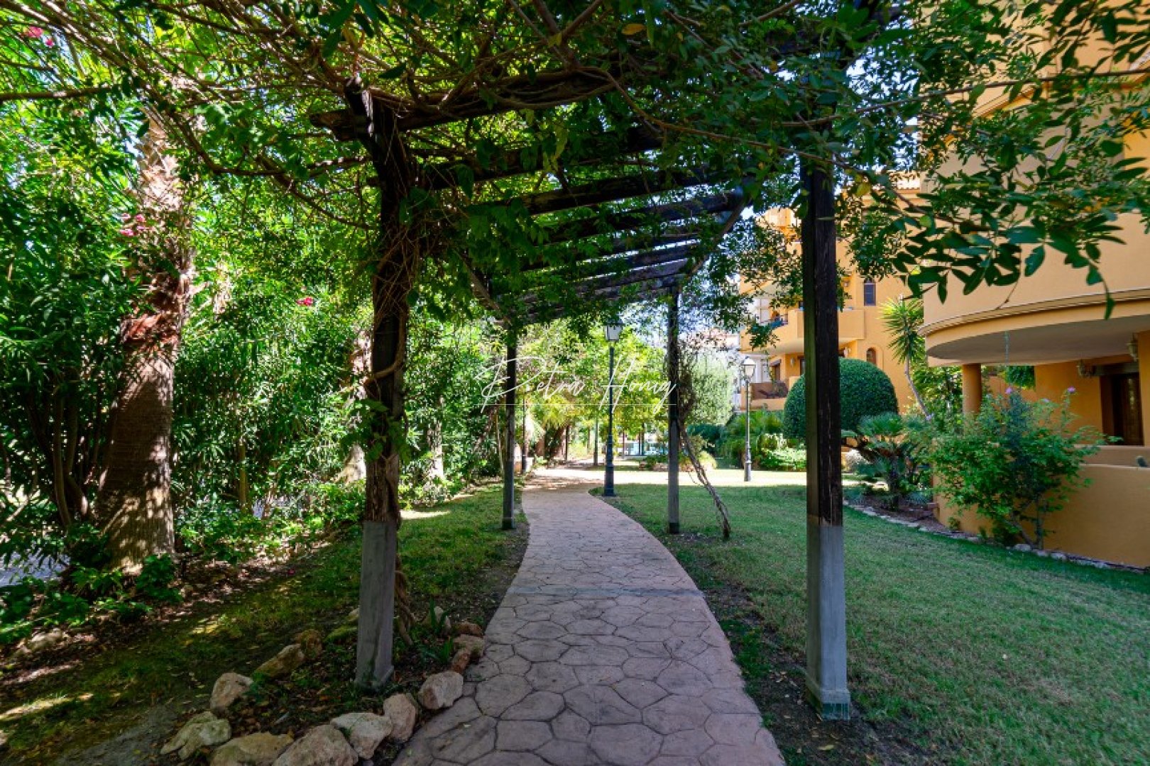 Gebrauchtobjekte - Apartment - Punta Prima