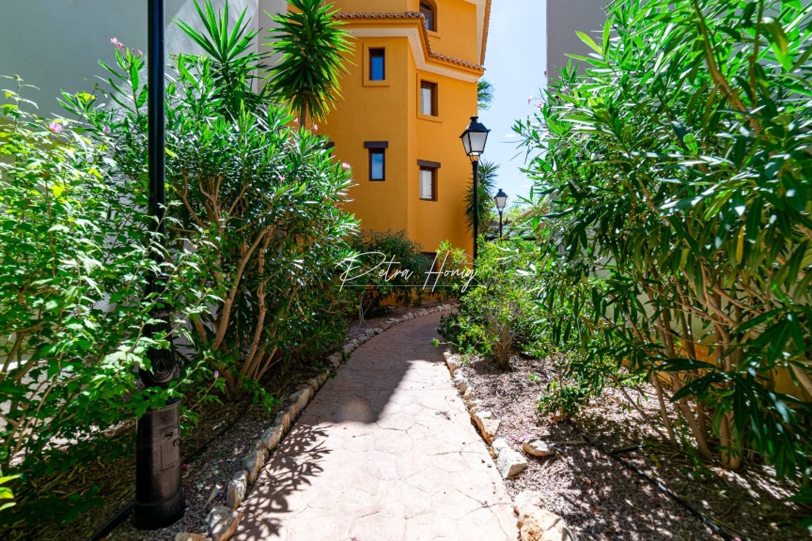 Gebrauchtobjekte - Apartment - Punta Prima