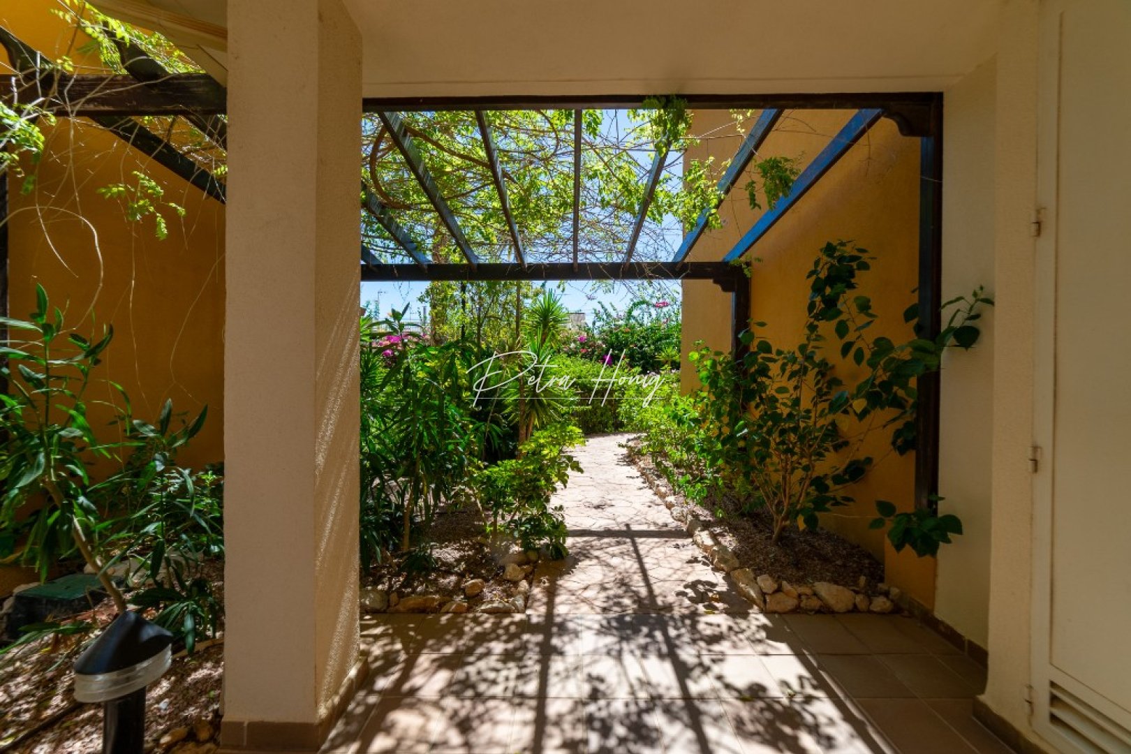 Gebrauchtobjekte - Apartment - Punta Prima