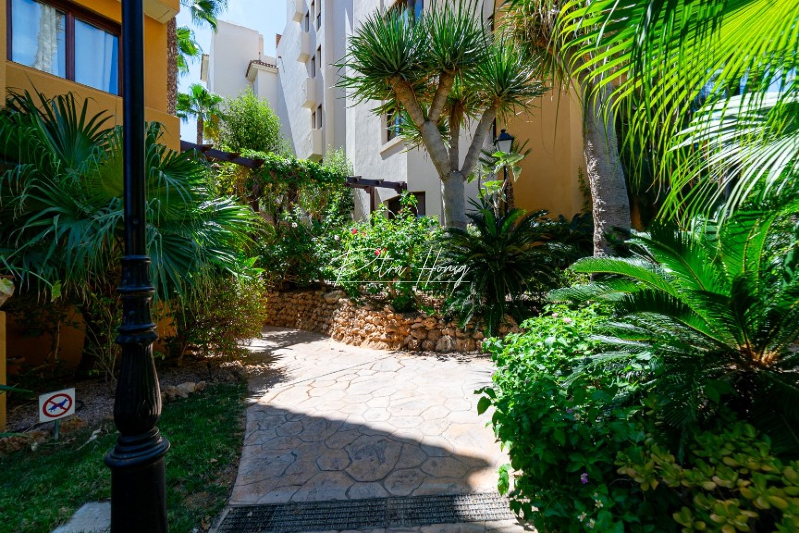 Gebrauchtobjekte - Apartment - Punta Prima