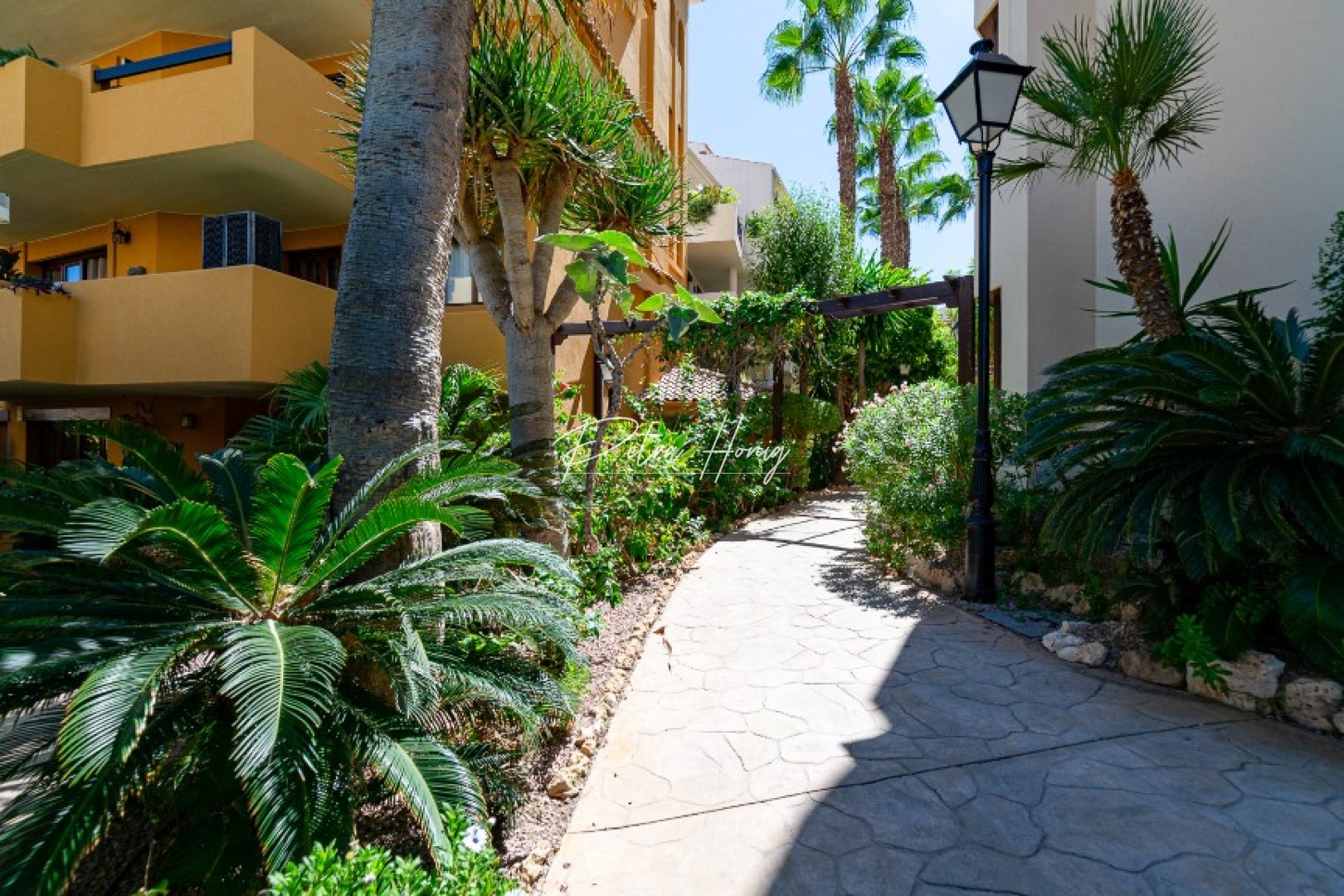 Gebrauchtobjekte - Apartment - Punta Prima