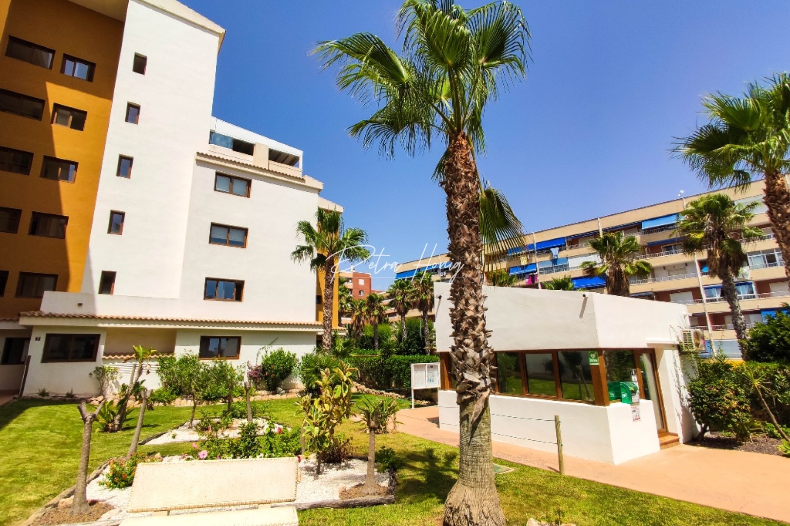 Gebrauchtobjekte - Apartment - Punta Prima