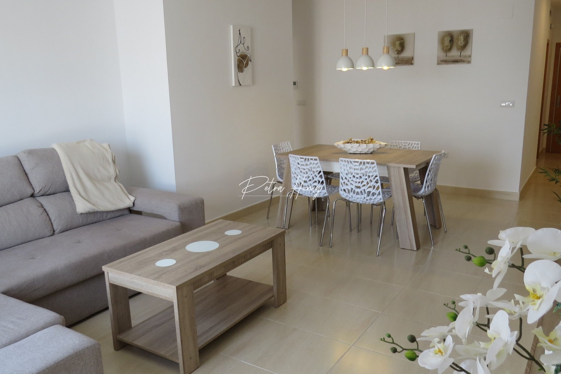Gebrauchtobjekte - Apartment - San Miguel de Salinas