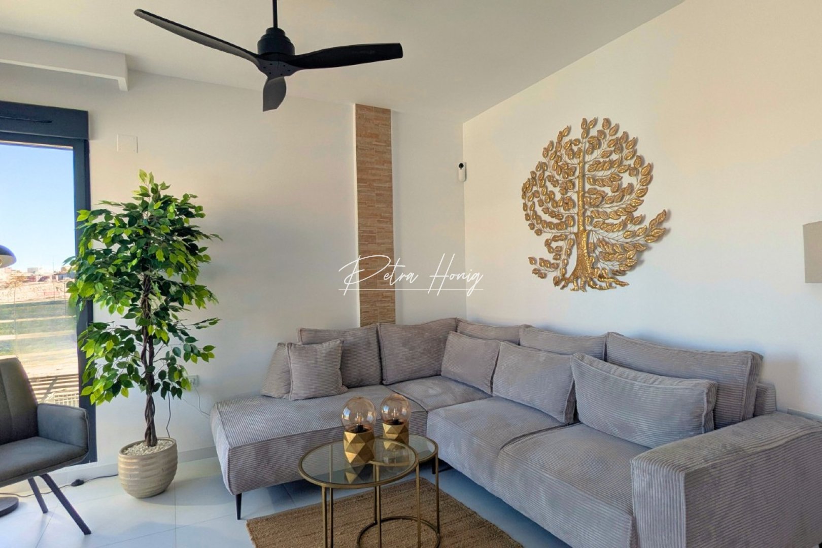 Gebrauchtobjekte - Apartment - San Miguel de Salinas