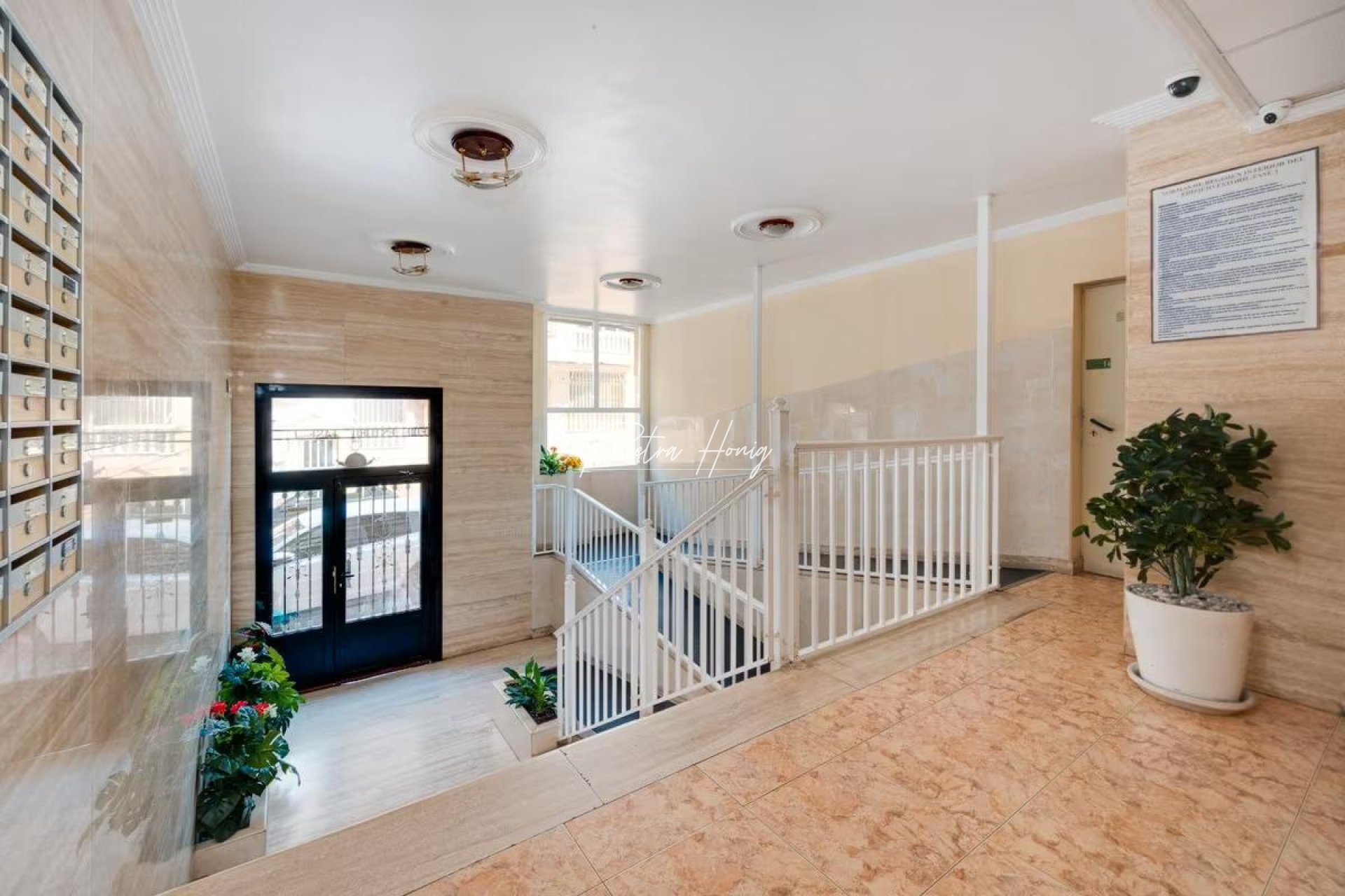 Gebrauchtobjekte - Apartment - Torrevieja - Centro