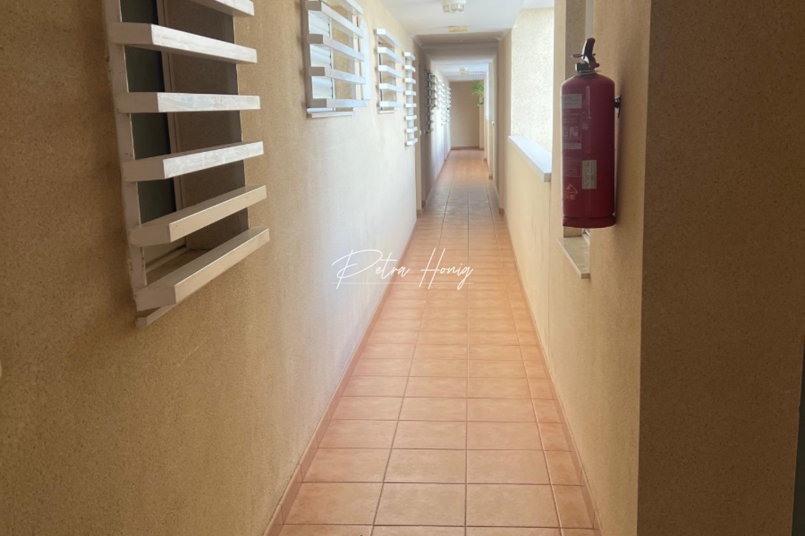 Gebrauchtobjekte - Apartment - Torrevieja - Centro