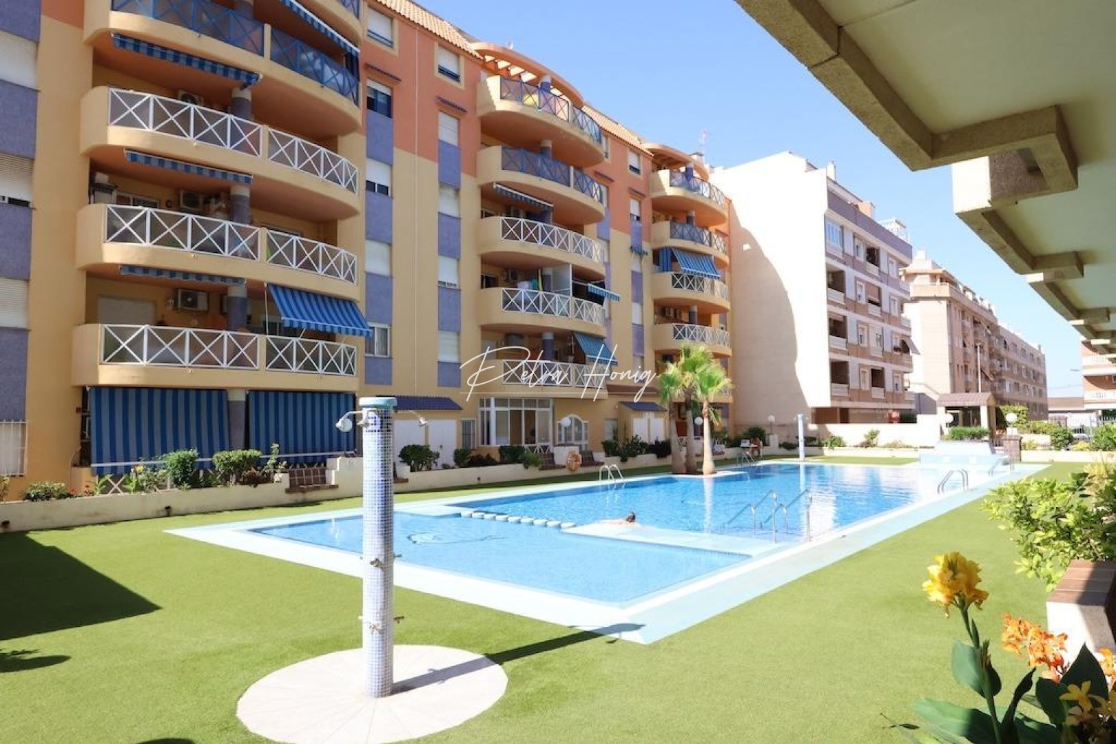 Gebrauchtobjekte - Apartment - Torrevieja - Centro