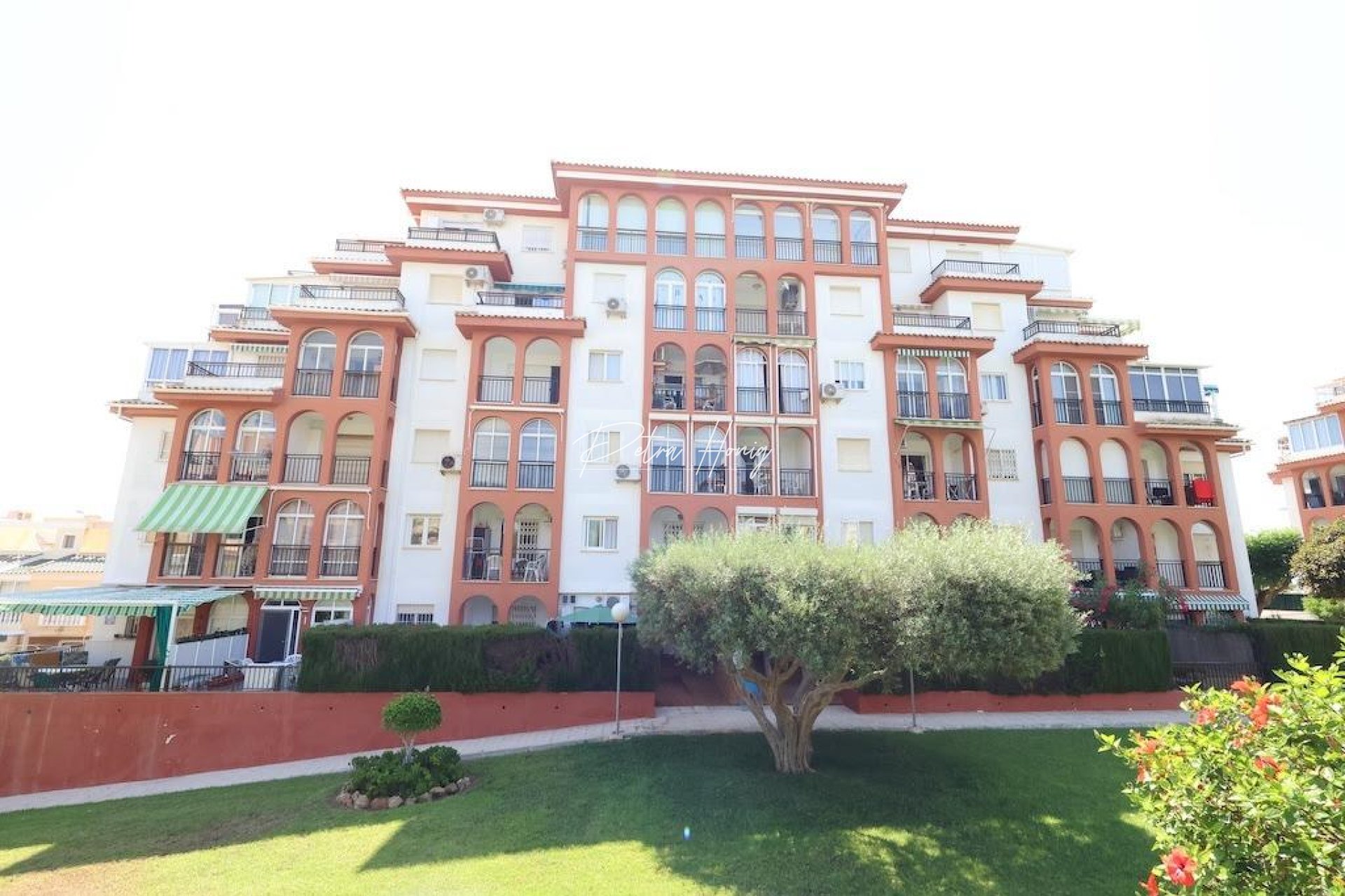 Gebrauchtobjekte - Apartment - Torrevieja - La Mata