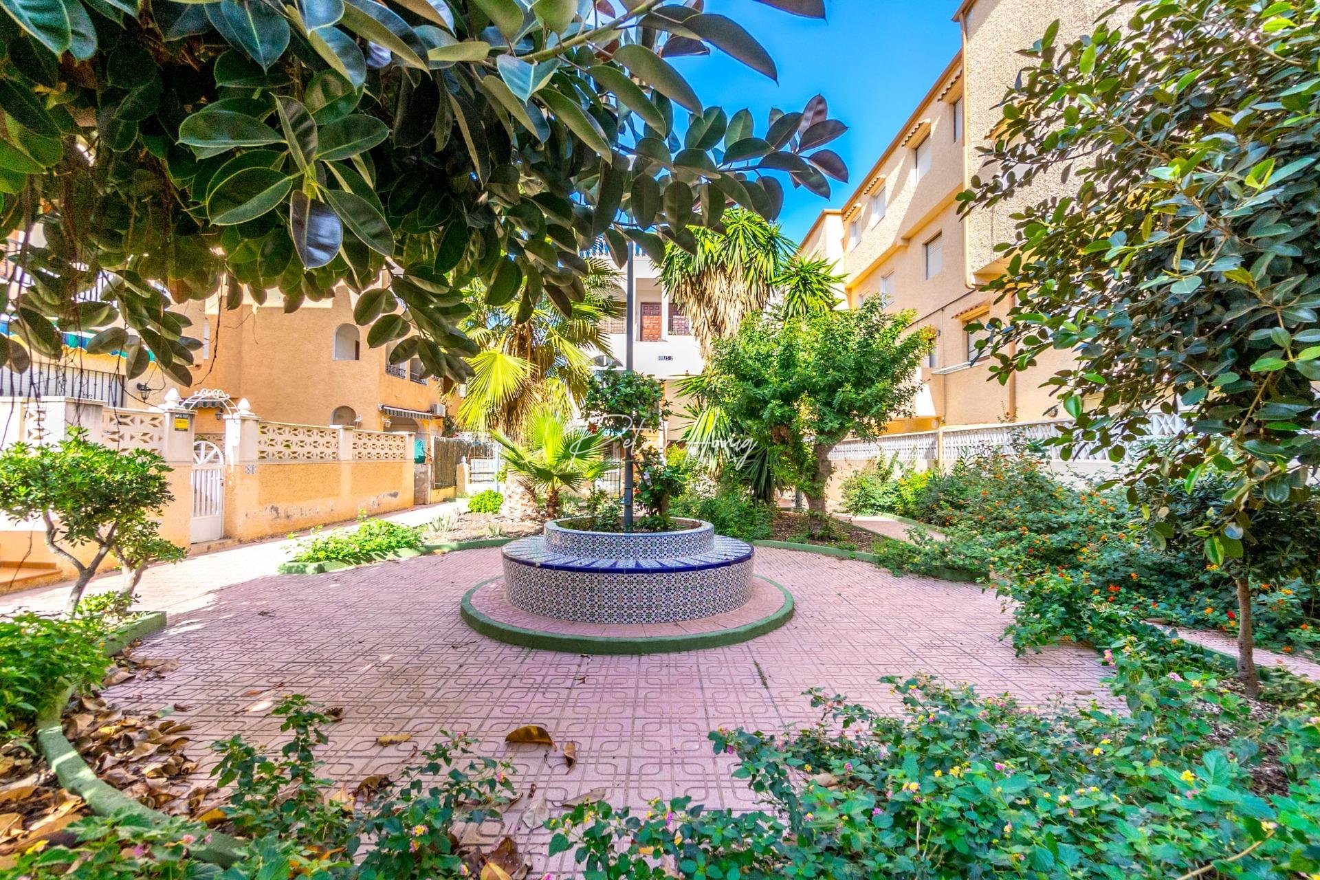 Gebrauchtobjekte - Apartment - Torrevieja - Los Europeos