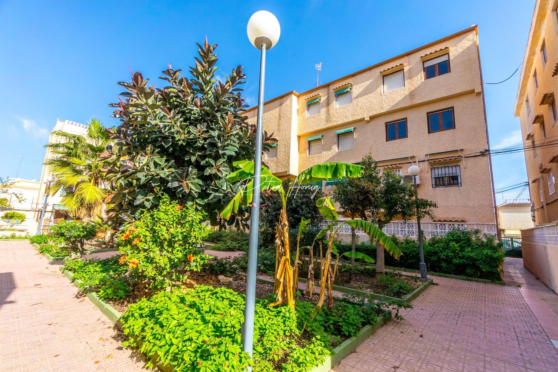 Gebrauchtobjekte - Apartment - Torrevieja - Los Europeos
