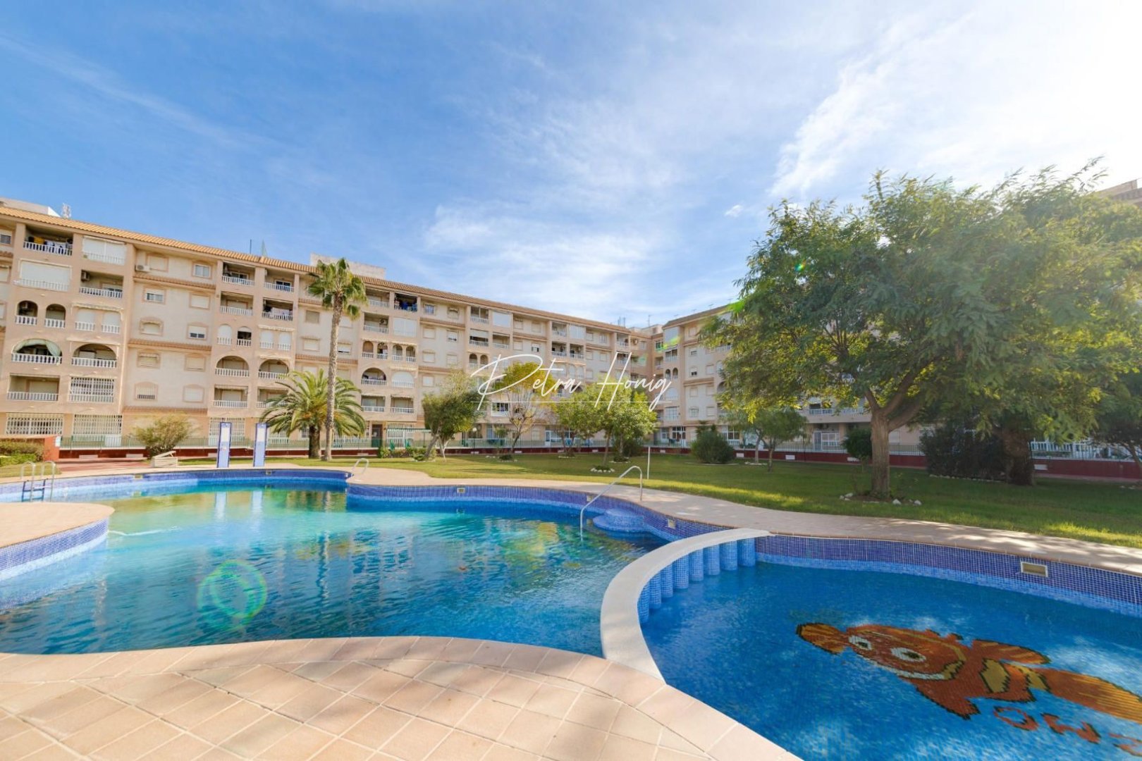 Gebrauchtobjekte - Apartment - Torrevieja - Parque las naciones