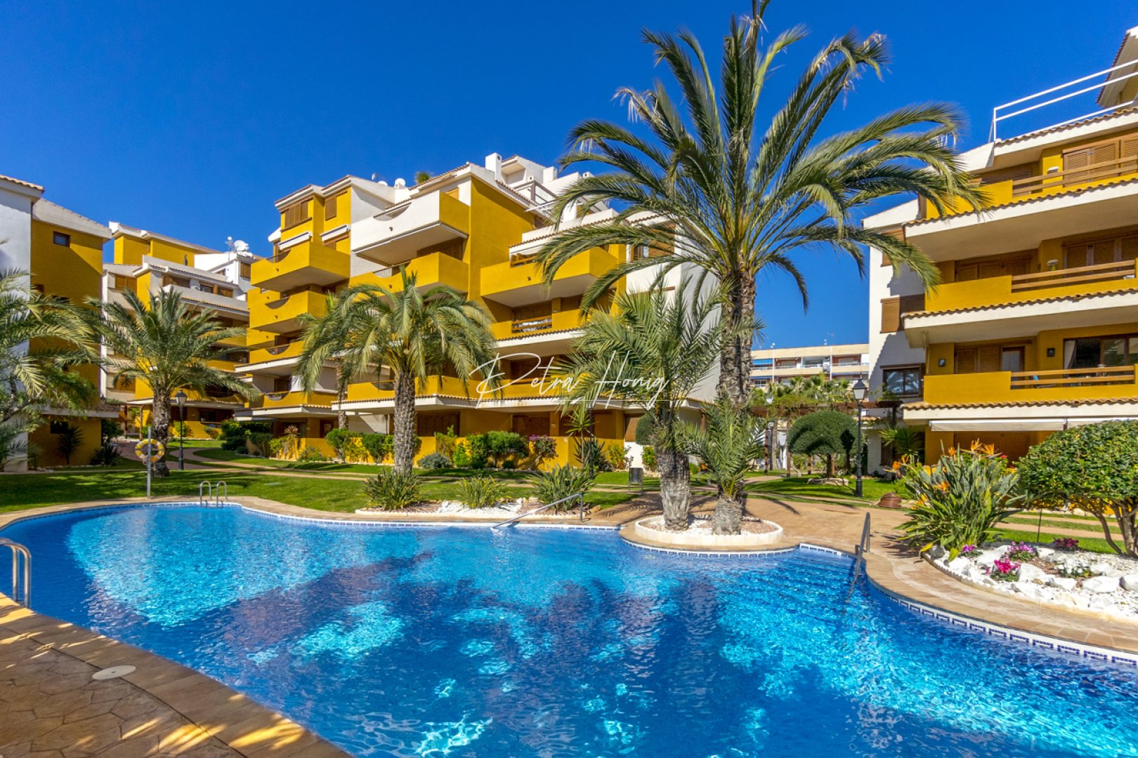 Gebrauchtobjekte - Apartment - Torrevieja - Punta Prima