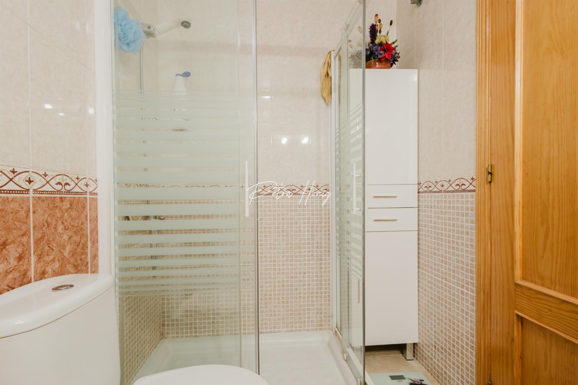 Gebrauchtobjekte - Apartment - Torrevieja - Villa Madrid