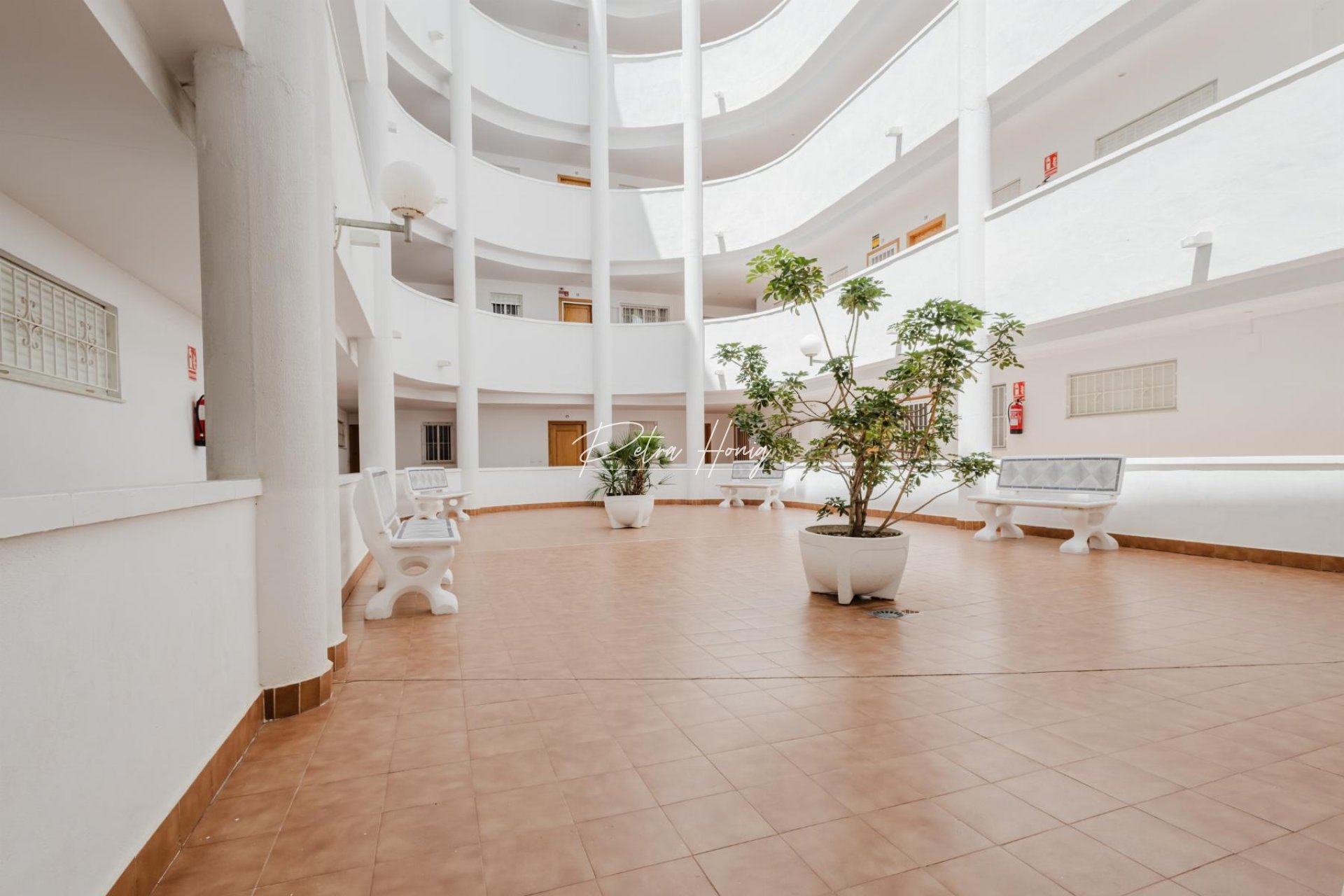 Gebrauchtobjekte - Apartment - Torrevieja - Villa Madrid