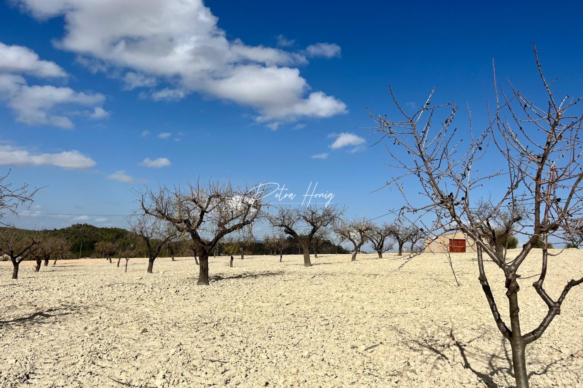 Gebrauchtobjekte -  - Bullas - Costa Calida