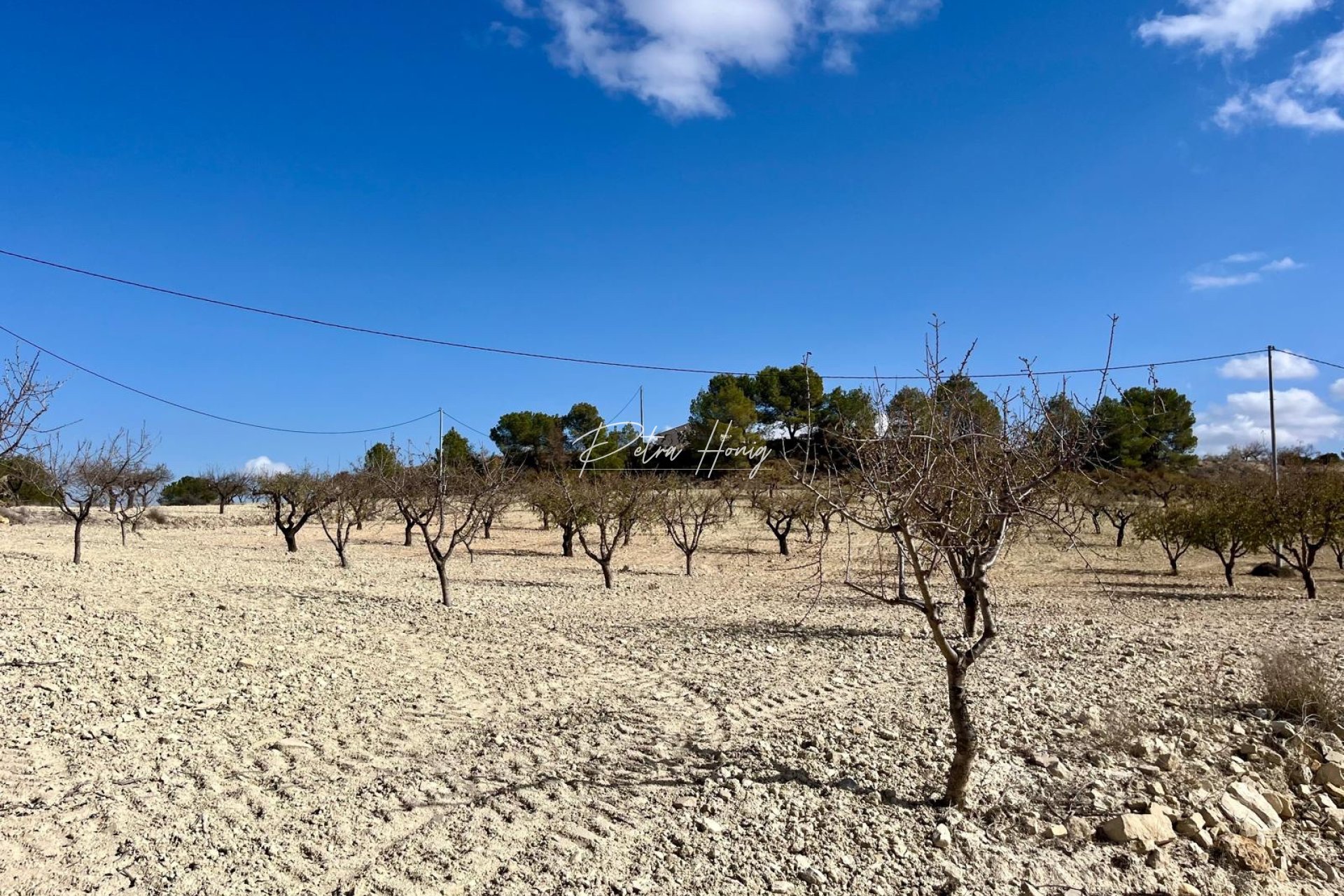 Gebrauchtobjekte -  - Bullas - Costa Calida