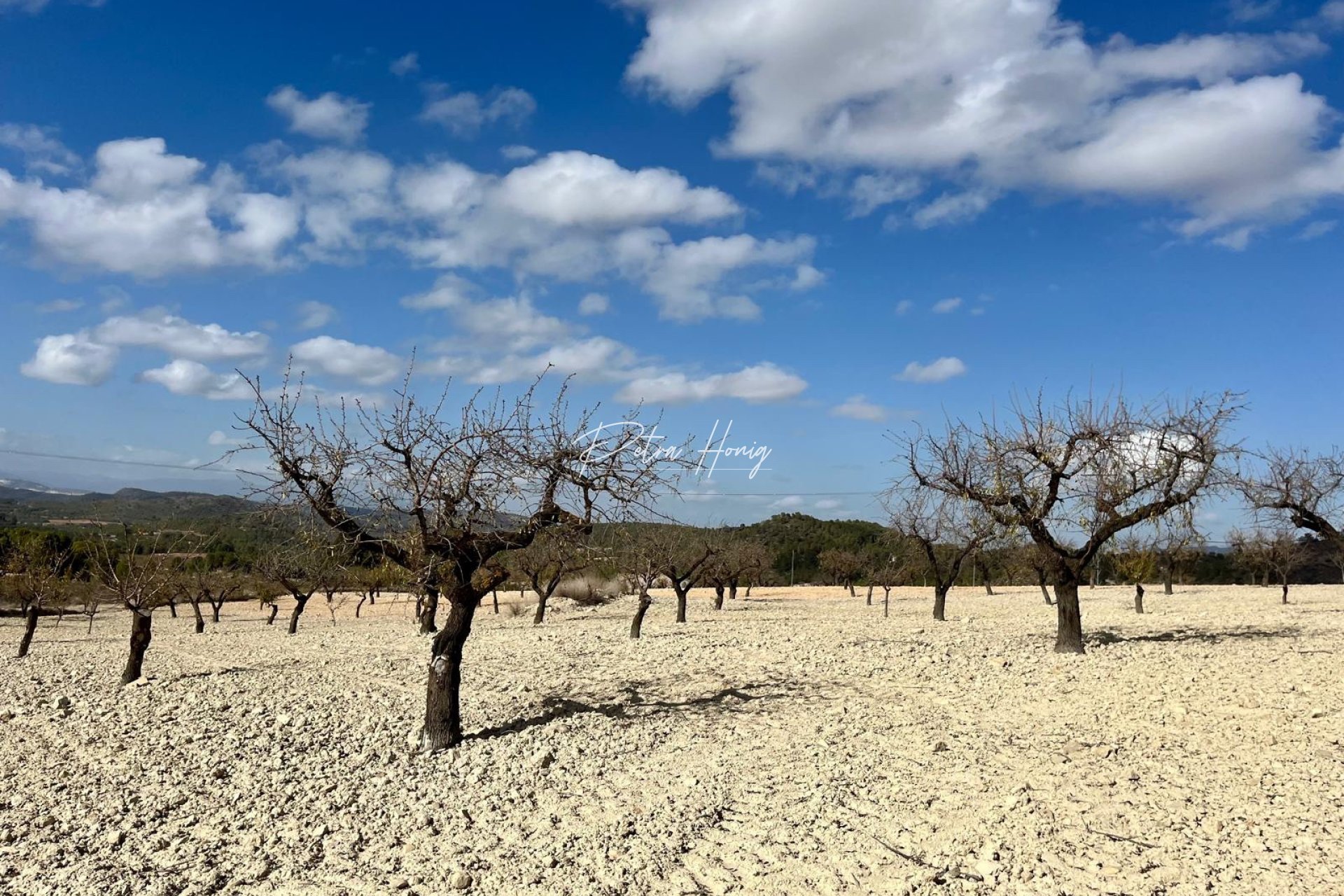 Gebrauchtobjekte -  - Bullas - Costa Calida