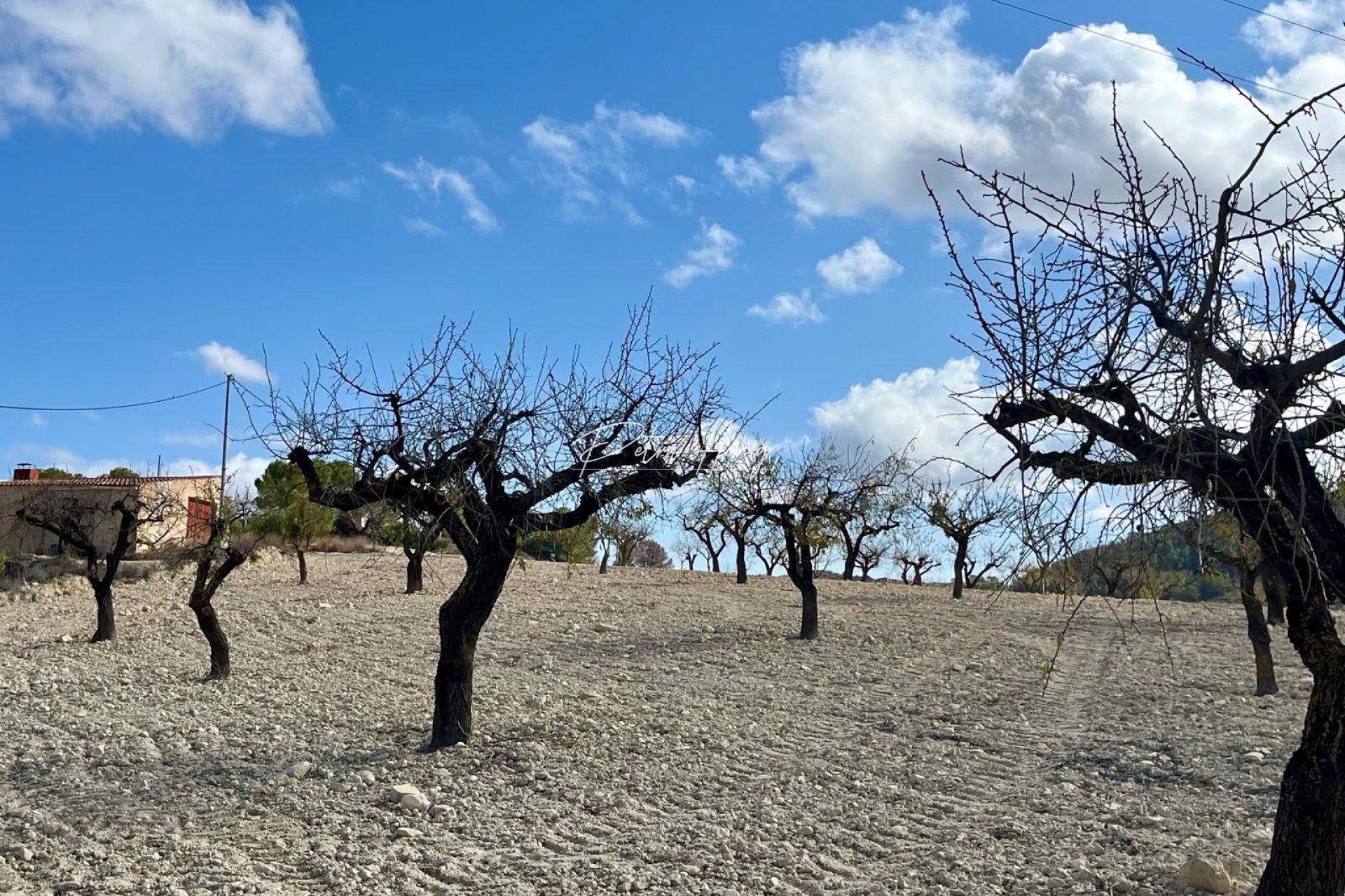 Gebrauchtobjekte -  - Bullas - Costa Calida