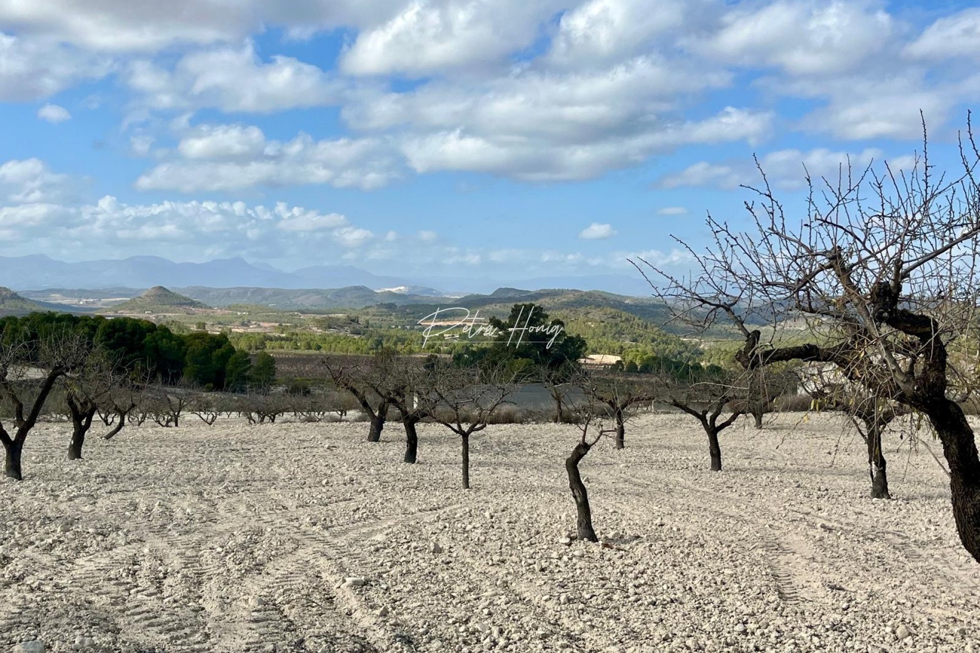 Gebrauchtobjekte -  - Bullas - Costa Calida