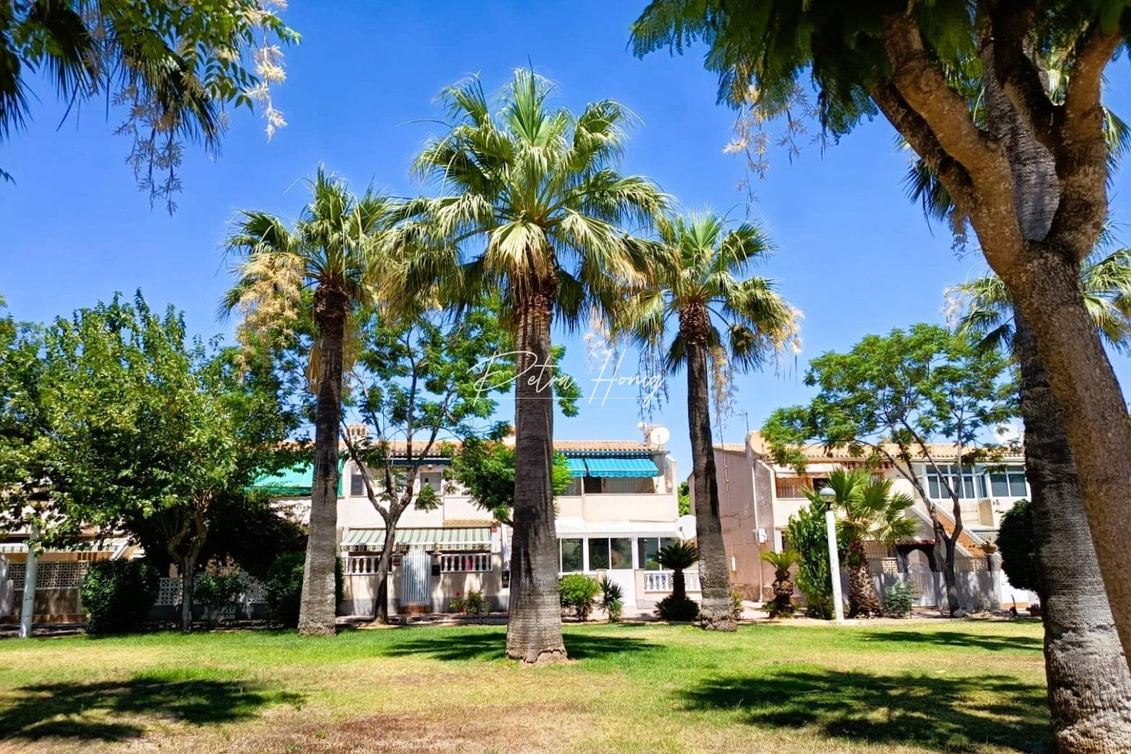 Gebrauchtobjekte - Bungalow - Orihuela Costa - La Regia