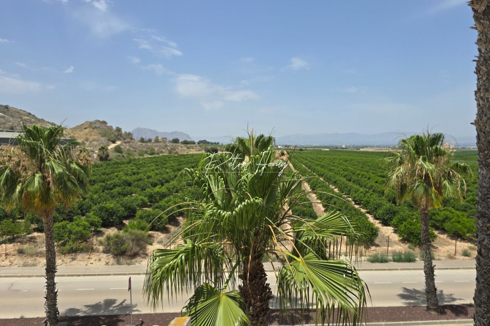 Gebrauchtobjekte - Doppelhaushälfte - Algorfa - La Finca Golf - La Finca Golf