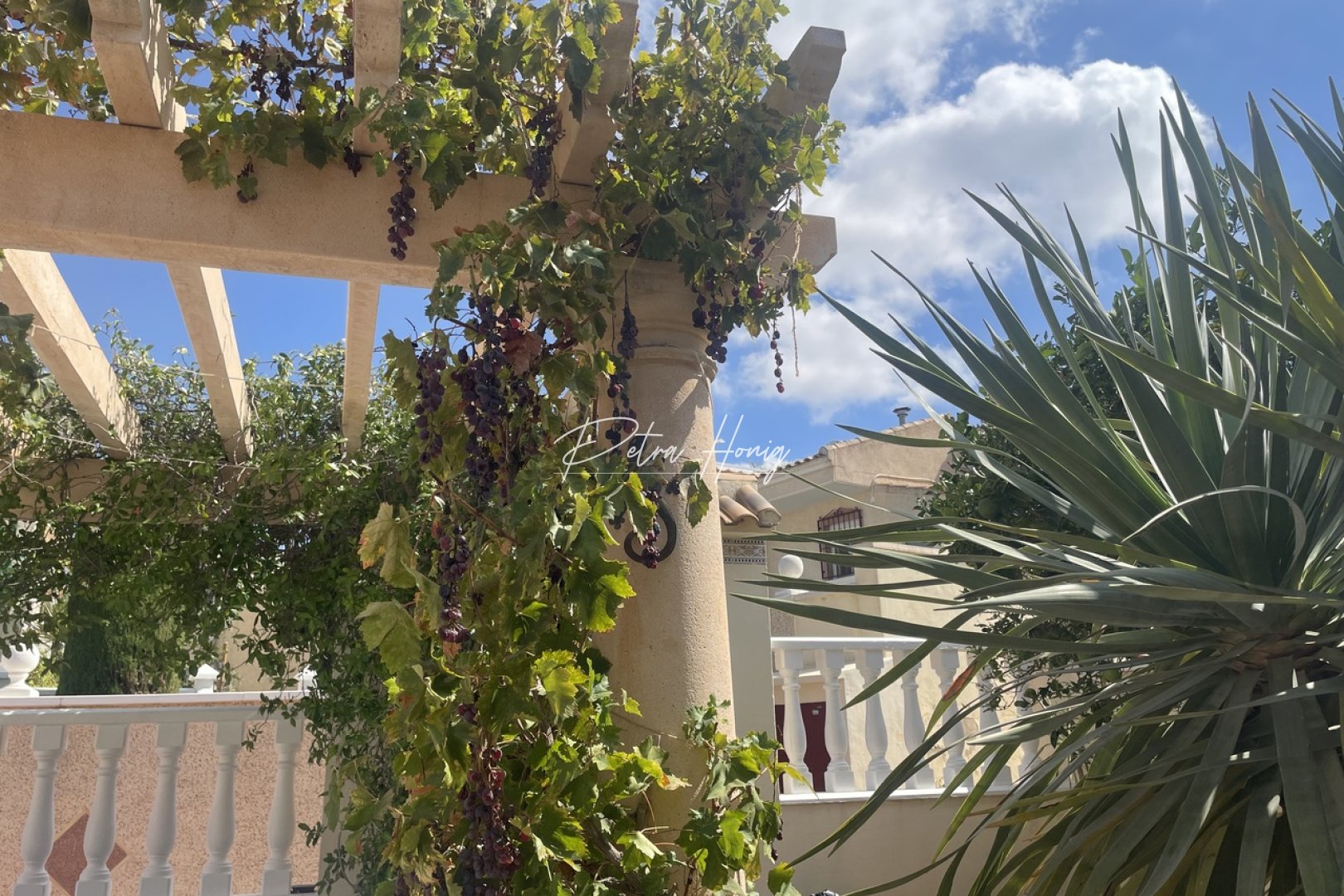 Gebrauchtobjekte - Einfamilienhaus - Algorfa - La Finca Golf - Algorfa