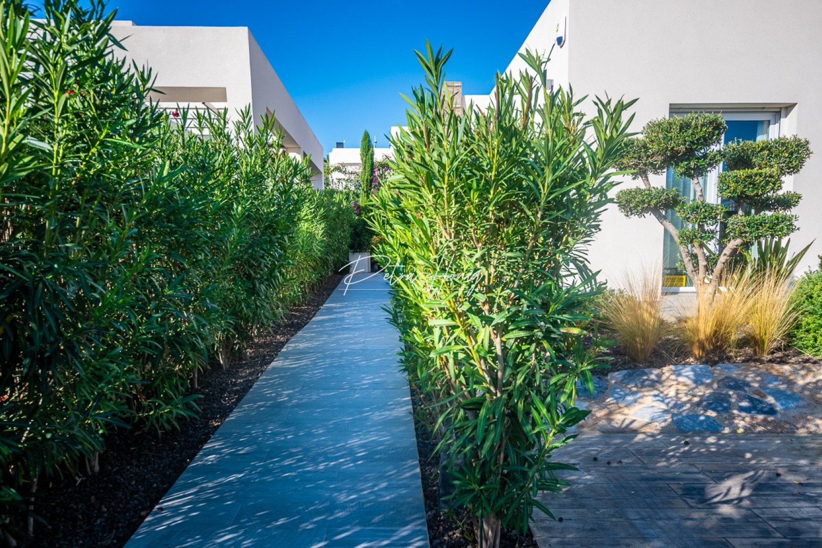 Gebrauchtobjekte - Einfamilienhaus - Algorfa - La Finca Golf - LA FINCA GOLF / ALGORFA