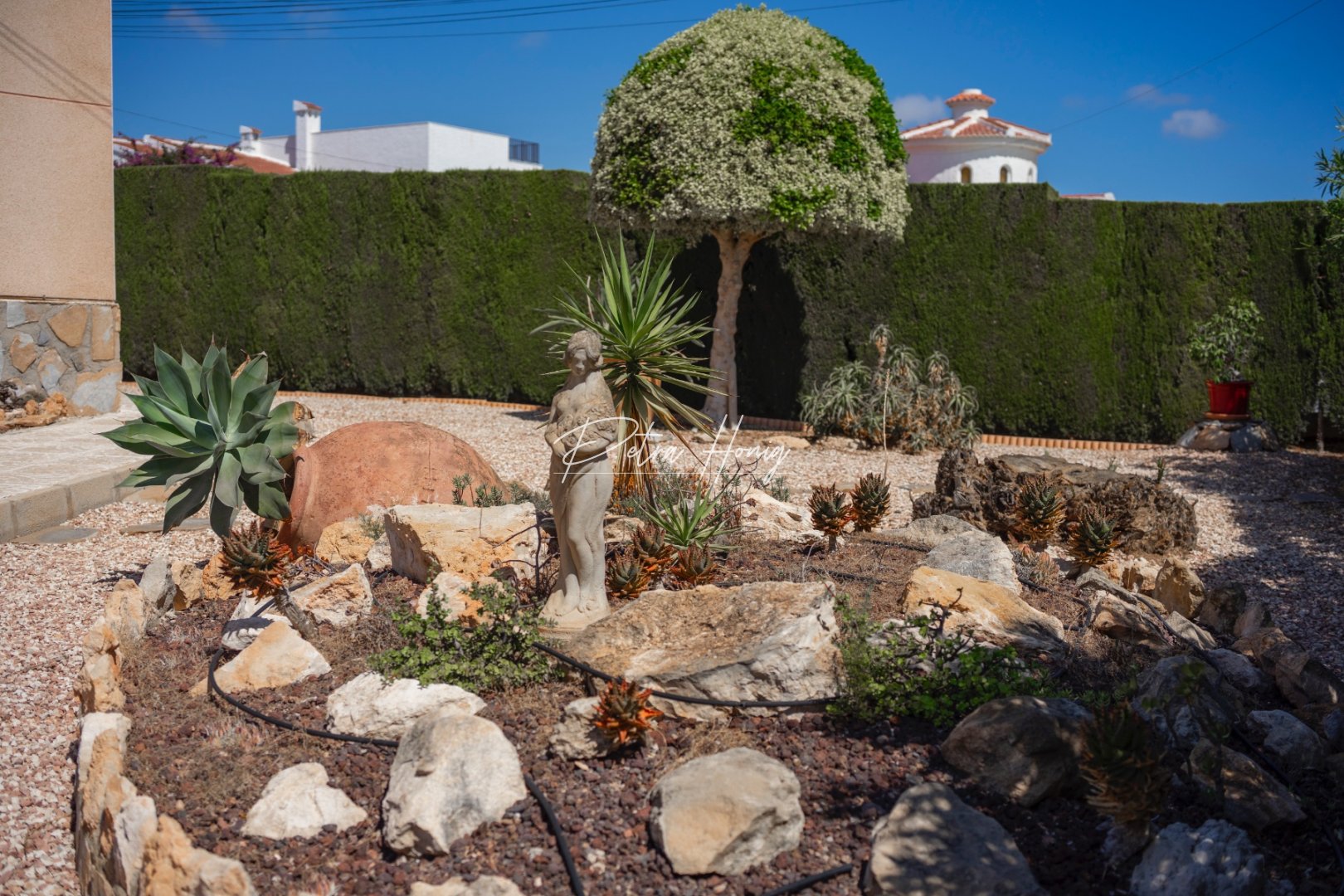 Gebrauchtobjekte - Einfamilienhaus - Ciudad Quesada - Town Center