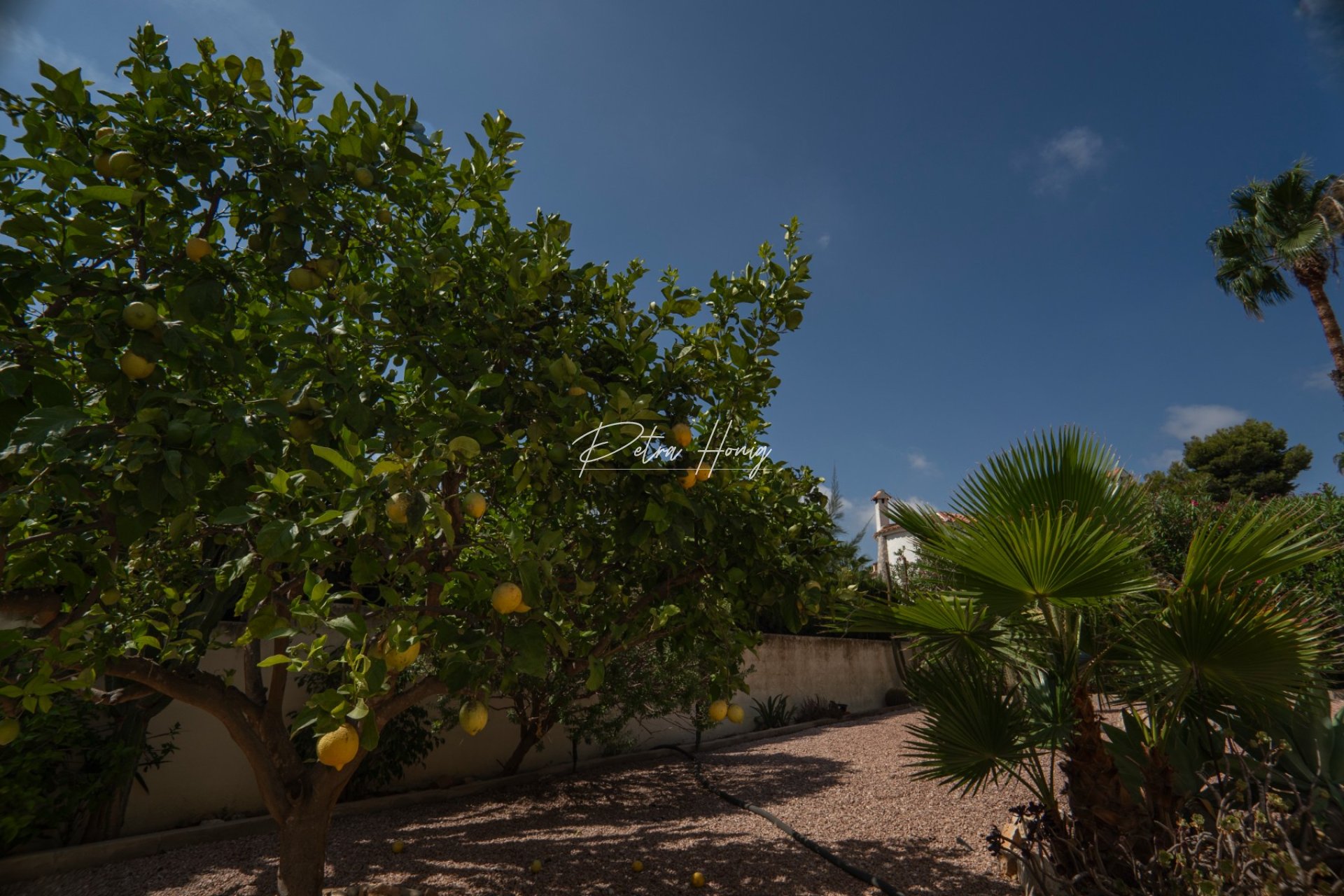 Gebrauchtobjekte - Einfamilienhaus - Ciudad Quesada - Town Center