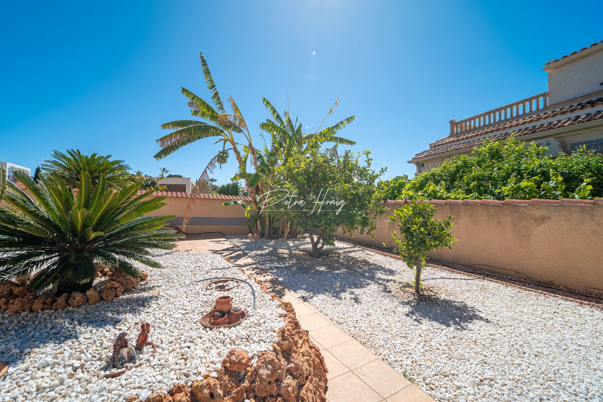 Gebrauchtobjekte - Einfamilienhaus - Ciudad Quesada - Town Center