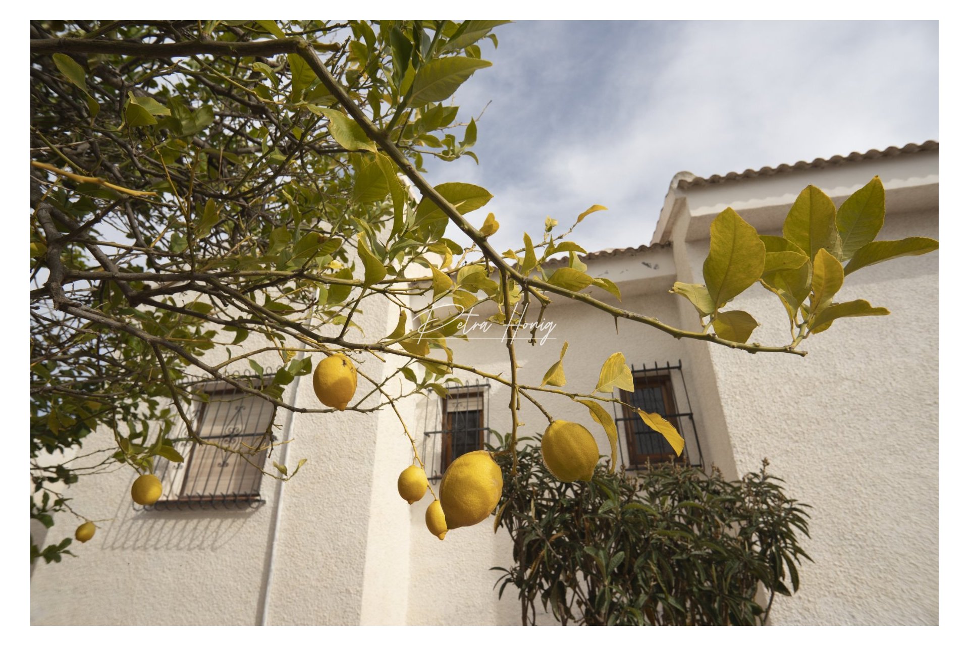 Gebrauchtobjekte - Einfamilienhaus - Ciudad Quesada