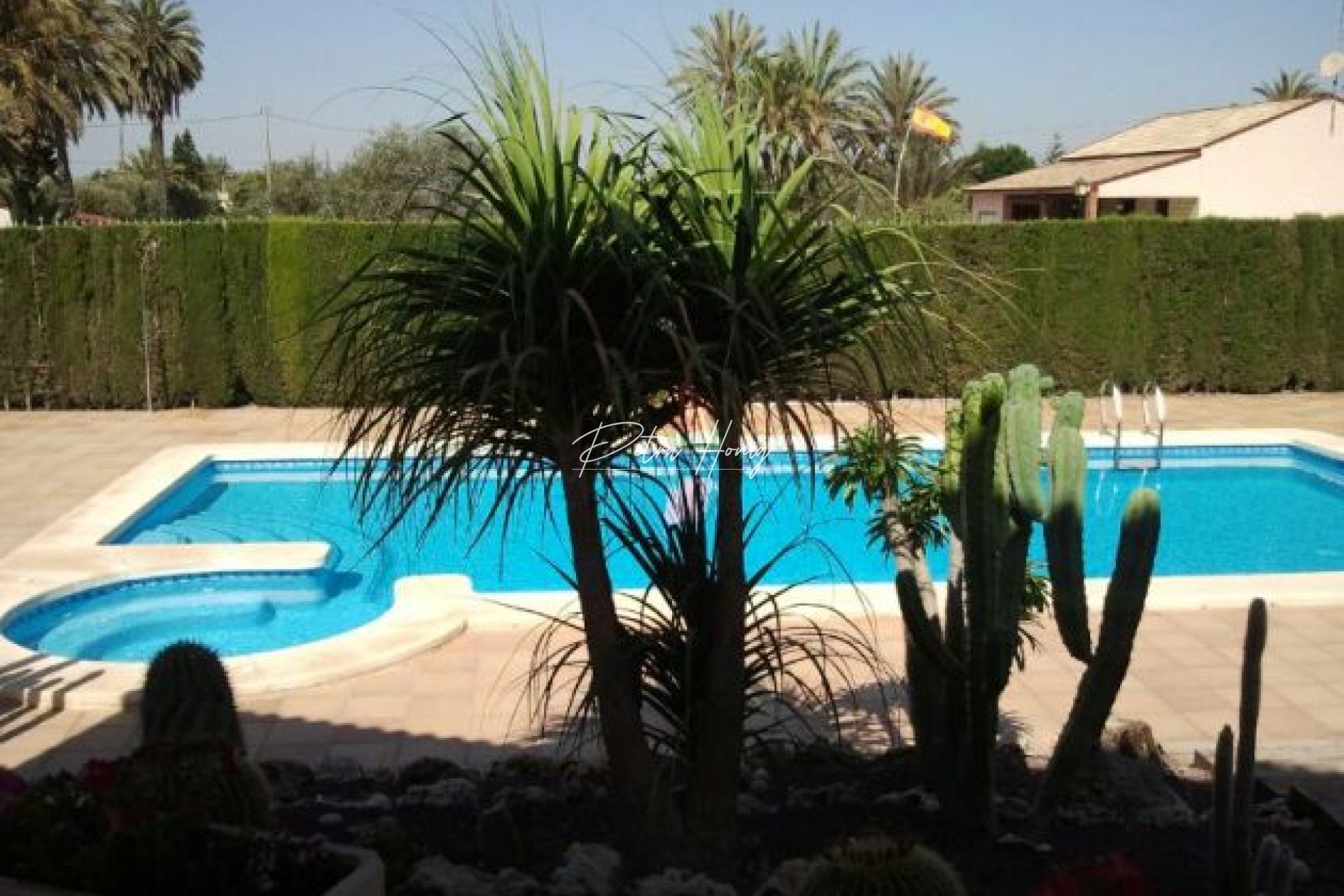 Gebrauchtobjekte - Einfamilienhaus - Elche