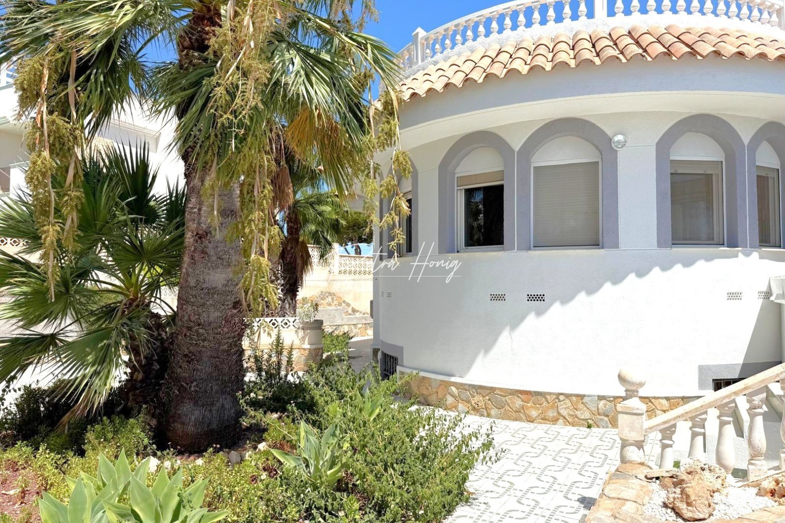 Gebrauchtobjekte - Einfamilienhaus - San Miguel de Salinas - Blue Lagoon