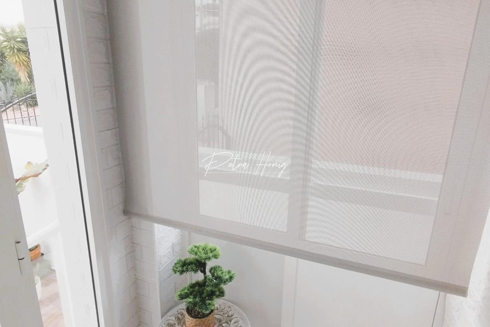 Gebrauchtobjekte - Einfamilienhaus - San Miguel de Salinas - Las filipinas