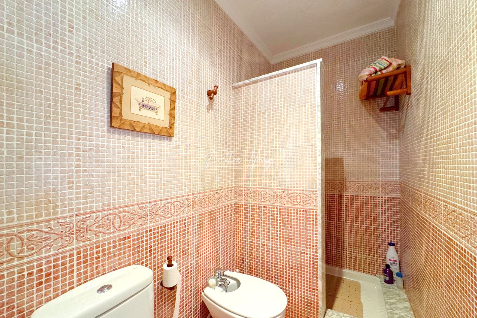 Gebrauchtobjekte - Einfamilienhaus - Torrevieja - Rocio del Mar