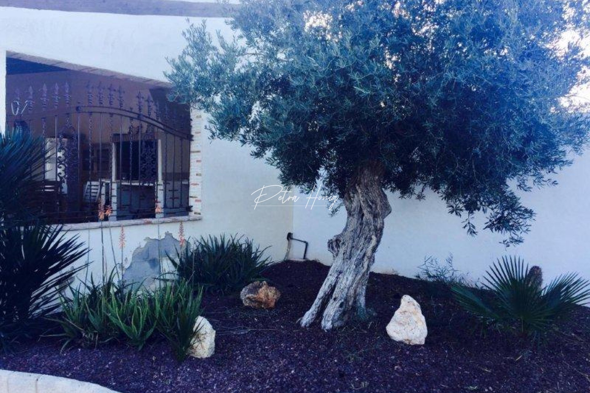 Gebrauchtobjekte - Finca - Callosa de Segura - Callosa Del Segura